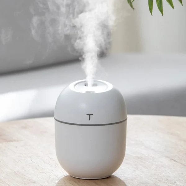 HUMIDIFIER